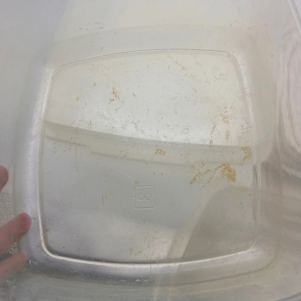 Rubbermaid servin saver